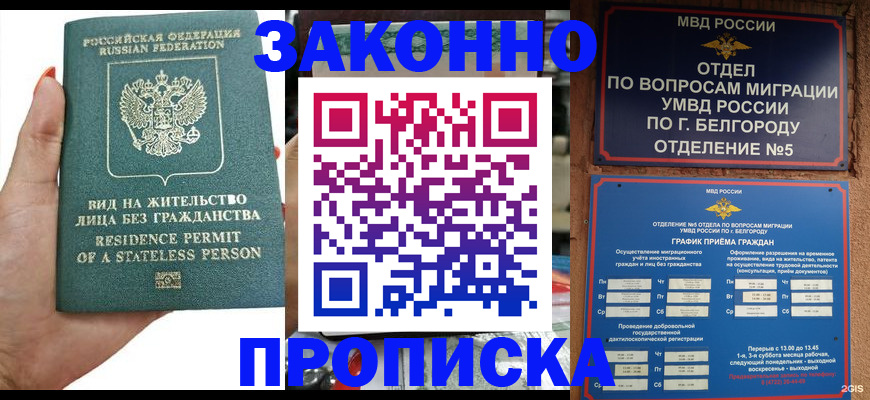 прописка для кредита в Кольчугино